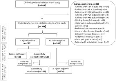 Helicobacter pylori as an Initiating Factor of Complications in Patients With Cirrhosis: A Single-Center Observational Study